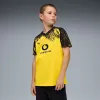 Borussia Dortmund 25/26 Home Jersey Youth - Faster Yellow-PUMA Black