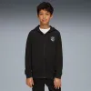 Active Sports Full-Zip Hoodie - Youth 8-16 years - PUMA Black