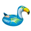 BCF: Tahwalhi Solar Light Up Toucan Pool Inflatable (TAKE50)