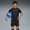 individualCUP Football Jersey - Youth 8-16 years - PUMA Black-PUMA White-Ultra Blue
