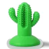 All For Paws Cactus Dental Dog Toy [Large] {7days}