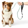 Hi Dream Leather Rotatable Handle Dog Lead in Sage [One Size] {7days}