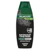 Palmolive Men 2 in 1 Hair Shampoo and Conditioner, 350mL, With Natural Charcoal, Deep Clean and Anti Dandruff {2-in-1 Shampoo & Conditioner} (Beauty)