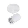 Lexi Lighting Brianna Spot Light, Flush-Mount Round Ceiling Light, 1 Light, Metal Matte White, Adjustable Directional Spotlight, Modern Track Lighting for Dining Living Corridor Kitchen Island {Indoor Lighting} (Warehouse)