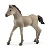 Schleich - Criollo Definitivo Foal (Schleich Criollo Definitivo Foal Figure) {Animals} (Japan)