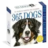 365 Dogs Page-A-Day Calendar 2025: The World's Favourite Dog Calendar {Lifestyle} (Warehouse)